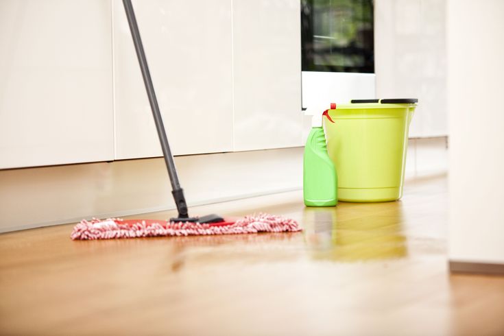 Basic Cleaning